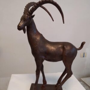 Wild goat