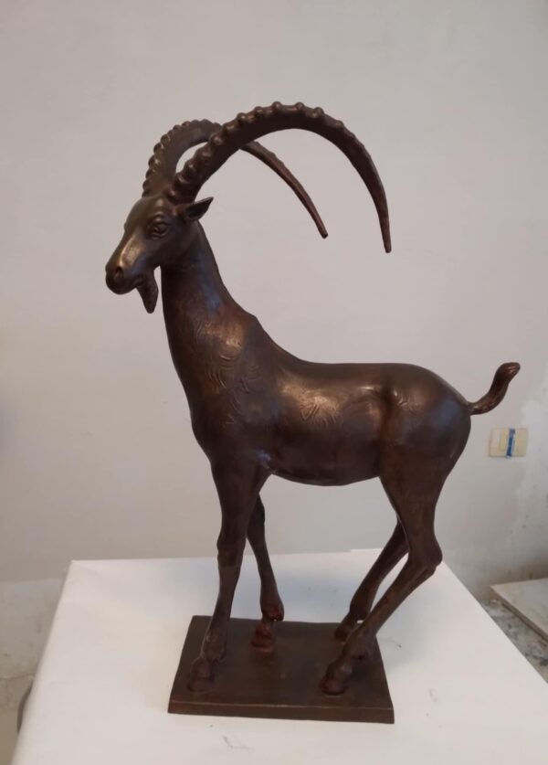 Wild goat